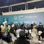 dsrsg_freeman_at_cop29_in_baku